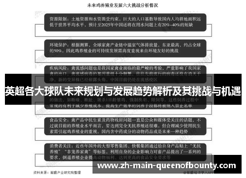 英超各大球队未来规划与发展趋势解析及其挑战与机遇 英超各大球队未来规划与发展趋势解析及其挑战与机遇