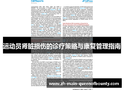 运动员肾脏损伤的诊疗策略与康复管理指南 运动员肾脏损伤的诊疗策略与康复管理指南